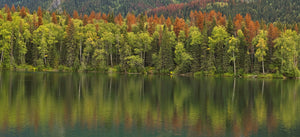Our Commitment To Building A Greener Future