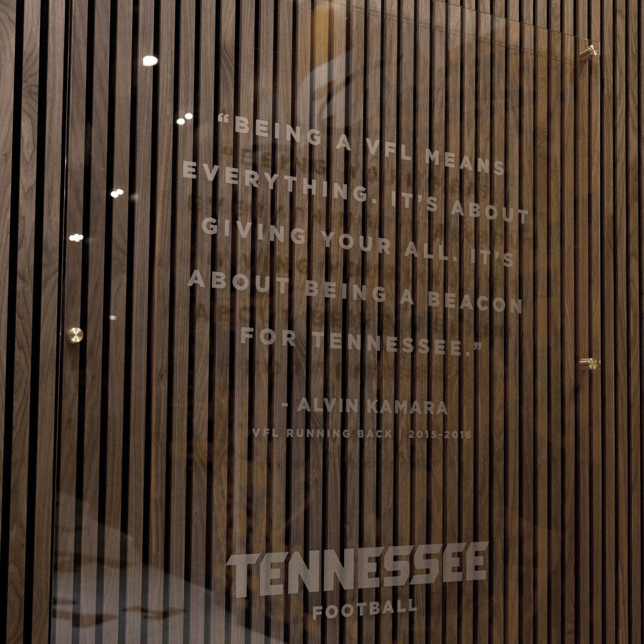 Natural Walnut Acoustic Slat Panels 94.5