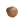 Wood Coat Hook 1.81