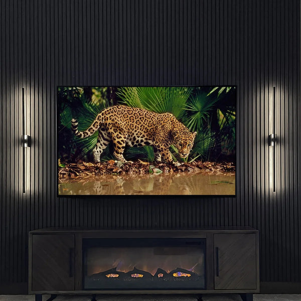 Leopard on a television screen in a dark room with decorative wall lights.