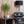 Modern interior with black leather chair, plant, and lamp against a wooden slat wall.